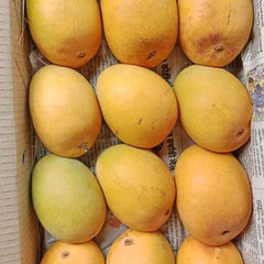 Anwar Ratol Mangoes