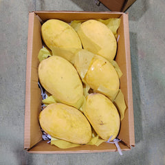 Mausami Chaunsa Mangoes