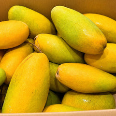 Dusehri Mangoes