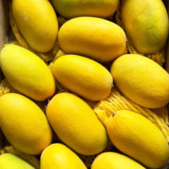 Dusehri Mangoes