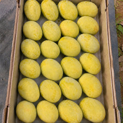 Langra Mangoes