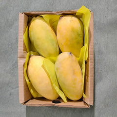 Sindhri Mangoes